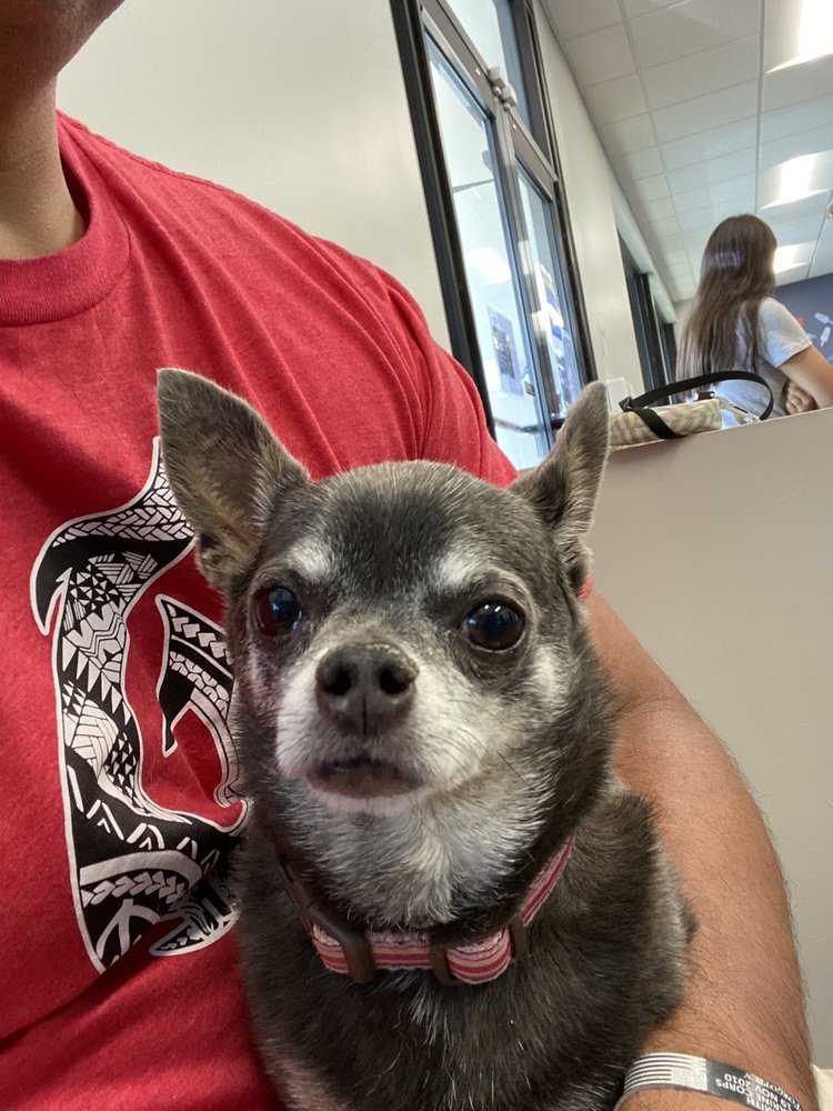 The Pet Clinic of Martinsville Martinsville