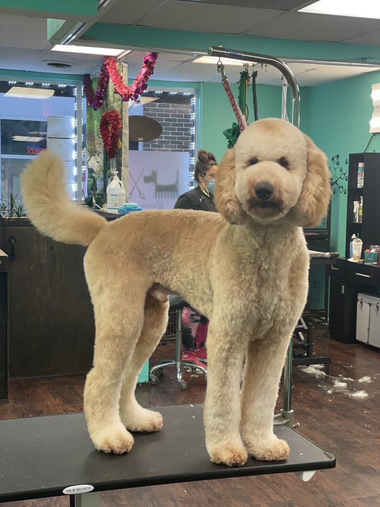 Photo credit: Yelp
