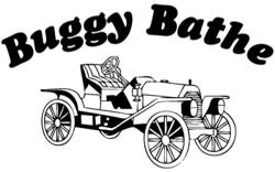 Buggy Bathe Auto Wash & Detail Shoppe