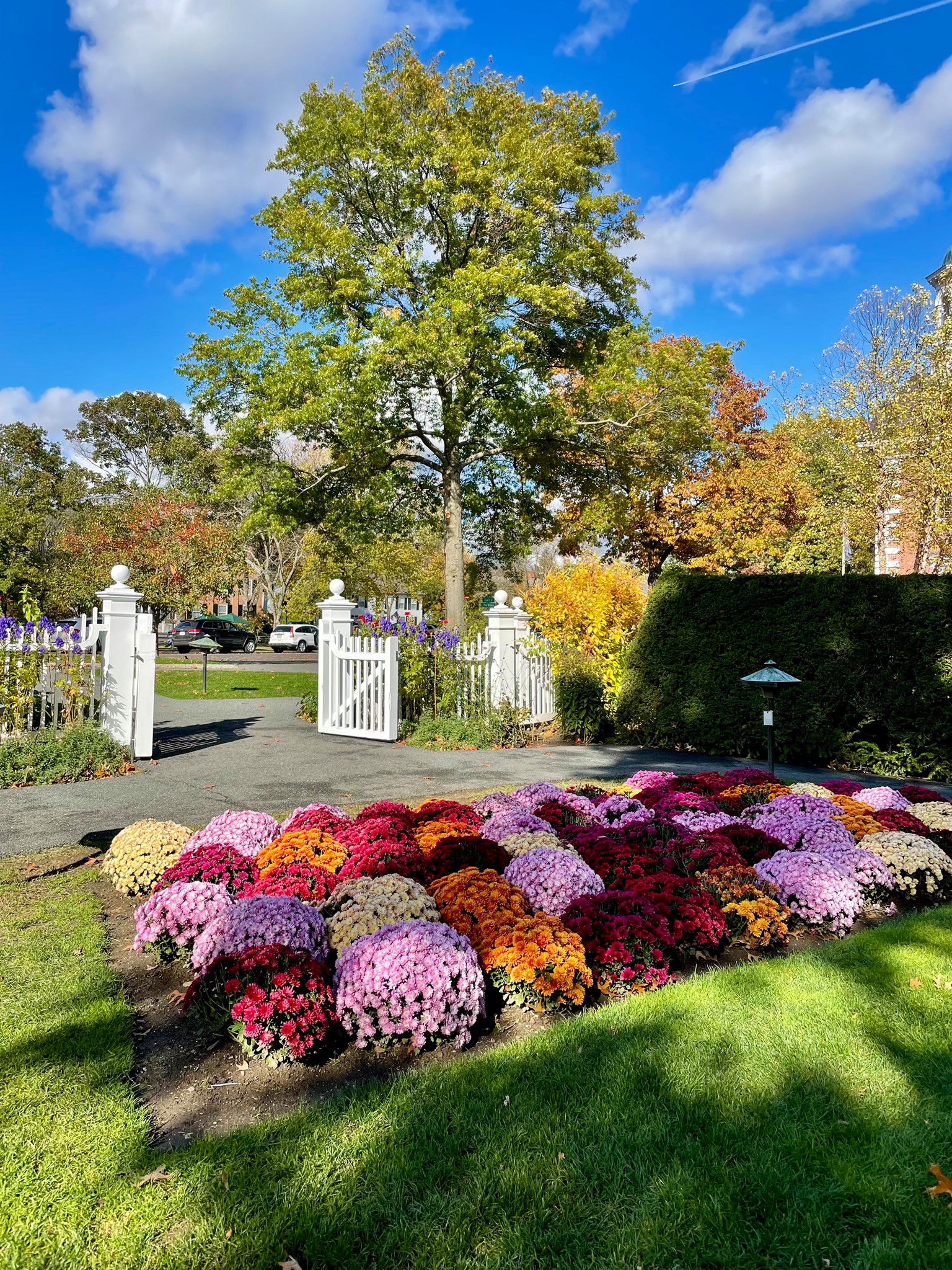 Best Local Restaurants In Woodstock Vt - Dec 2021 Restaurantji