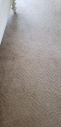 Seattle Carpet Cleaning