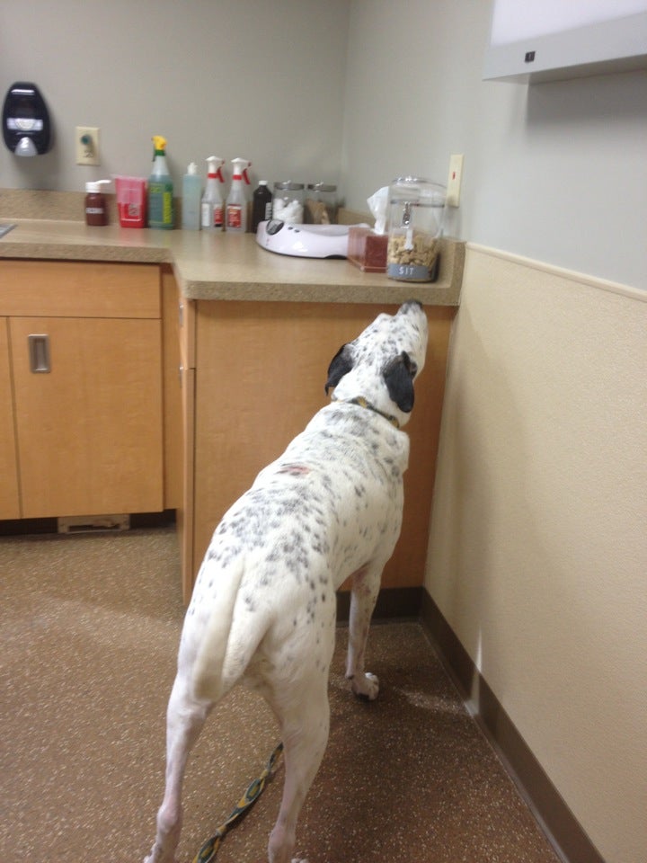 Photo credit: yellowpages