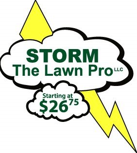 Storm the Lawn Pro 10912 Melanie Way, Cato Wisconsin 54230