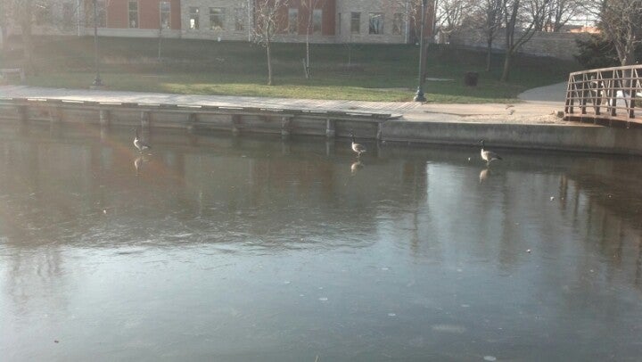 Photo credit: yellowpages