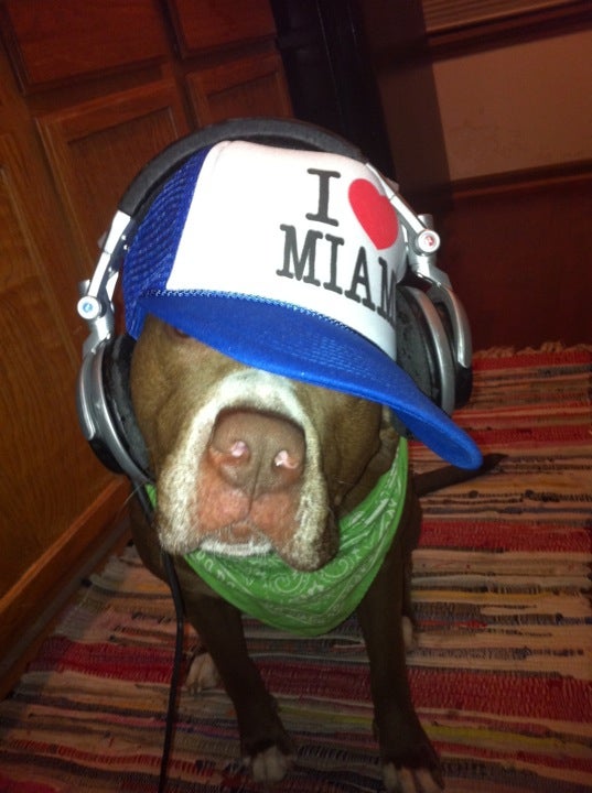 Photo credit: yellowpages