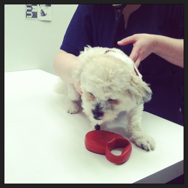 Photo credit: yellowpages