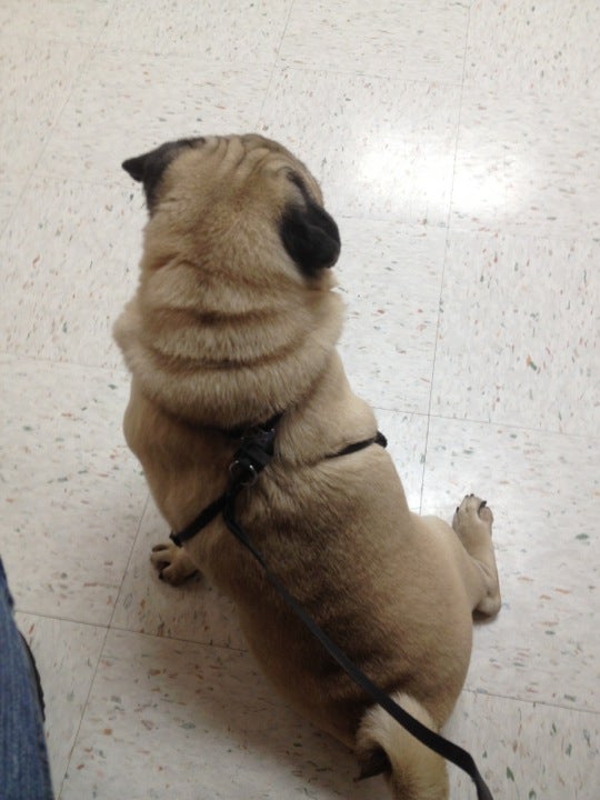 Photo credit: yellowpages