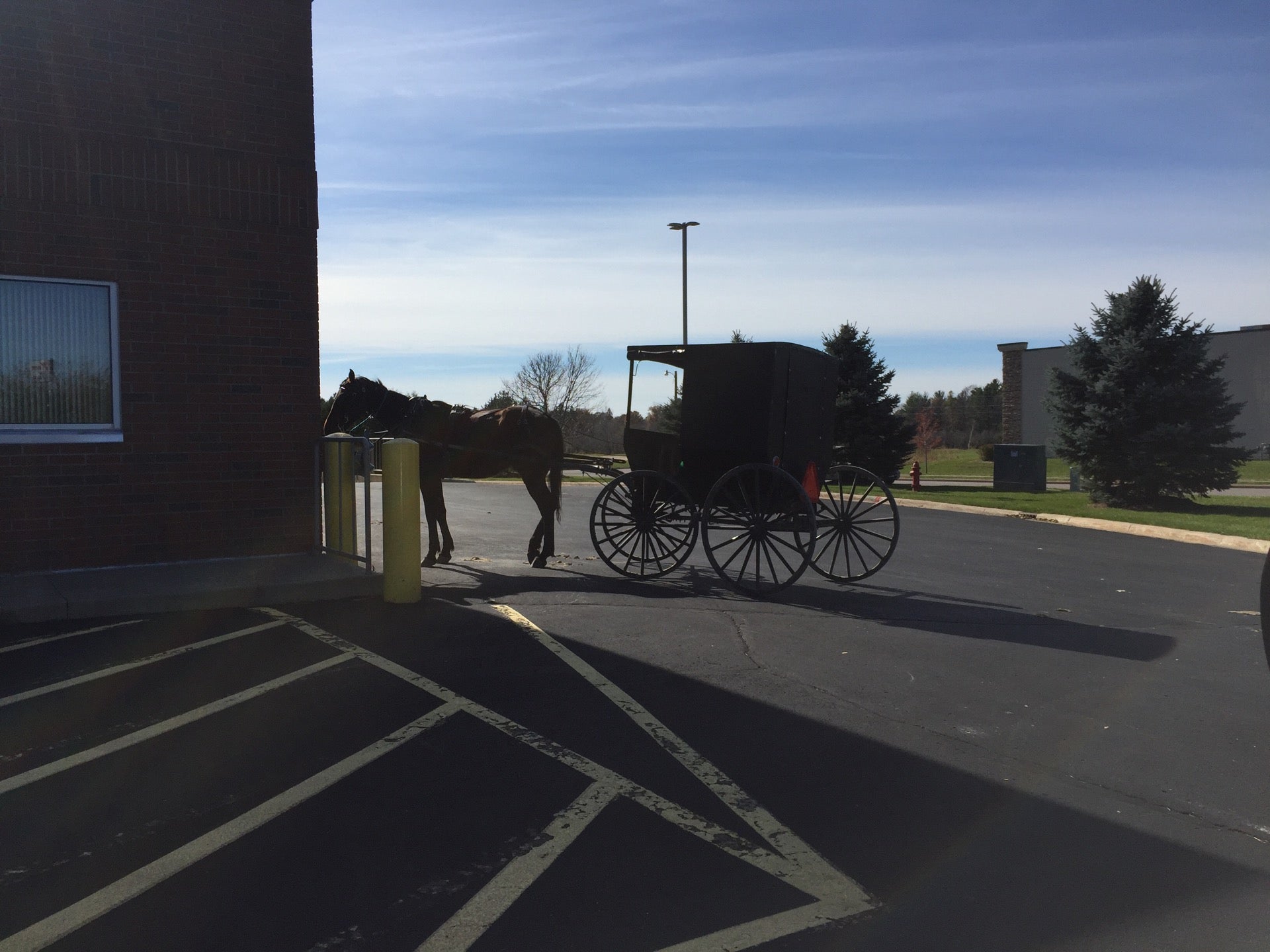 Photo credit: yellowpages