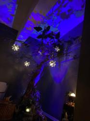 Washington Street Massage