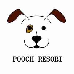 Pooch Resort Boarding Daycare & Grooming